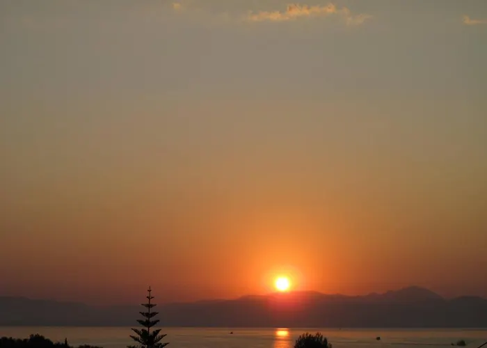 Regina Nina